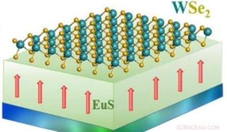 Valleytronics Breakthrough Promises to Extend Moore s Law