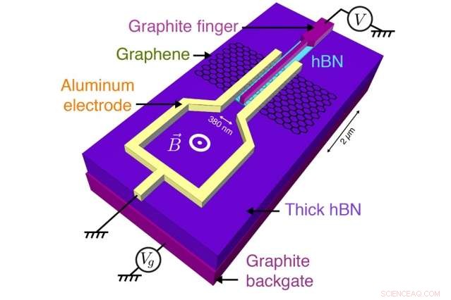 Graphene Adopts Exotic Electronic States When Sandwiched Between Superconductors