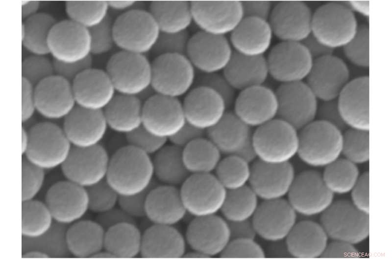 UC San Diego Scientists Develop Advanced Natural Sunscreen Using Melanin-like Nanoparticles