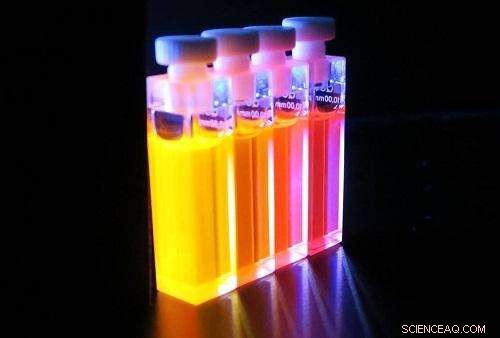 Bright Future: Innovative Polymer Design Yields Highly Fluorescent Nanoparticles