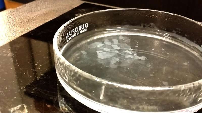 Aalto University Engineers Novel Anticancer Nanomaterials by Mimicking Underwater Volcanic Conditions