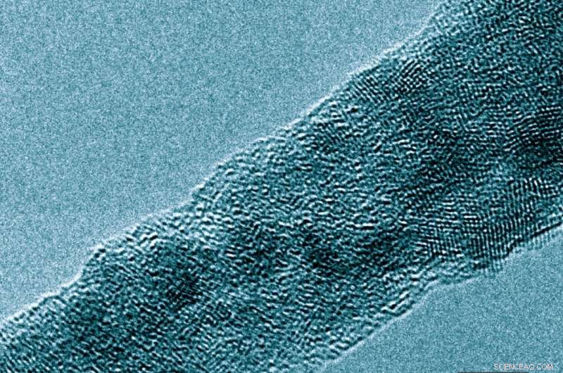 Hybrid Graphene–Carbon Nanotube Anodes Boost Lithium Metal Battery Performance