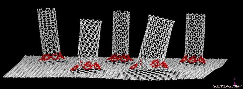 Hybrid Graphene–Carbon Nanotube Anodes Boost Lithium Metal Battery Performance