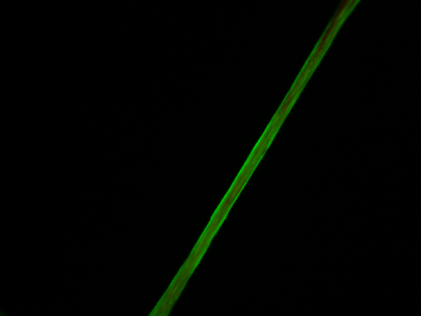 New Hybrid Silk: Combining Spider Proteins and Renewable Wood Nanocellulose Yields Record-Strength Artificial Fiber