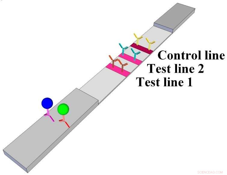 Innovative Paper Test Strip Enables Heart Failure Patients to Monitor Health at Home