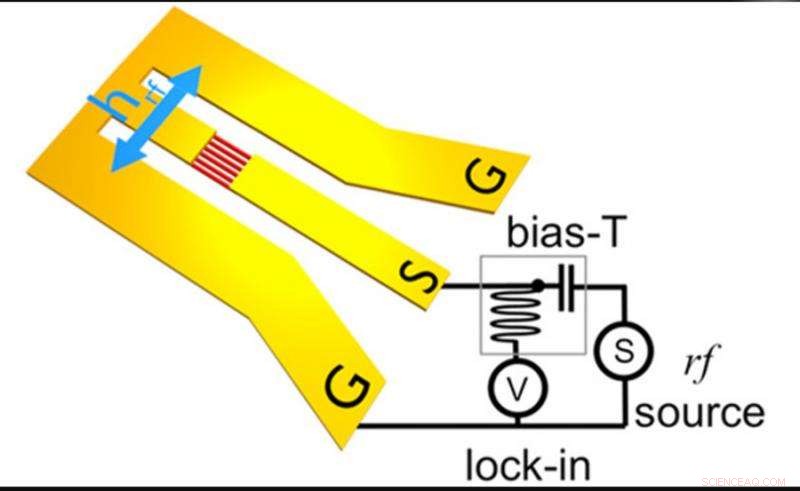 New Study Reveals Spin Dynamics of Promising Low-Power Device Material