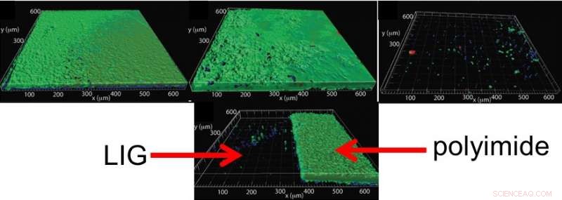Laser‑Induced Graphene Demonstrates Antibacterial Properties and Biofouling Resistance
