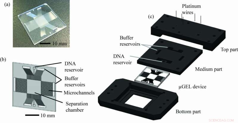 Ultra-Fast DNA Fractionation: Minutes Instead of Hours