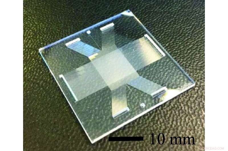 Ultra-Fast DNA Fractionation: Minutes Instead of Hours