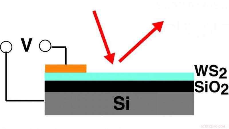 NC State Breakthrough: Controlling Light with Electric Fields