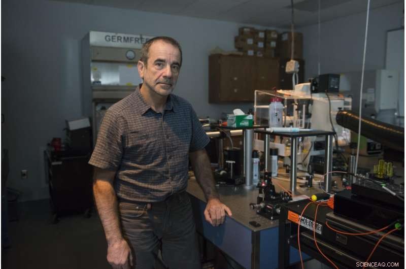 Researchers Observe Light-Matter Interaction in a Single Atomic Layer