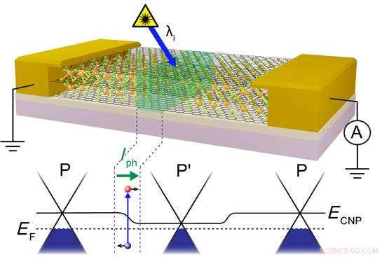 Laser‑Based Engineering of Photoactive Junctions in Iron‑Chloride‑Intercalated Graphene