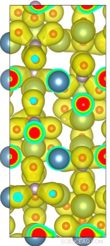 Scientists Reveal Key Mechanism Governing Bone Formation and Strength