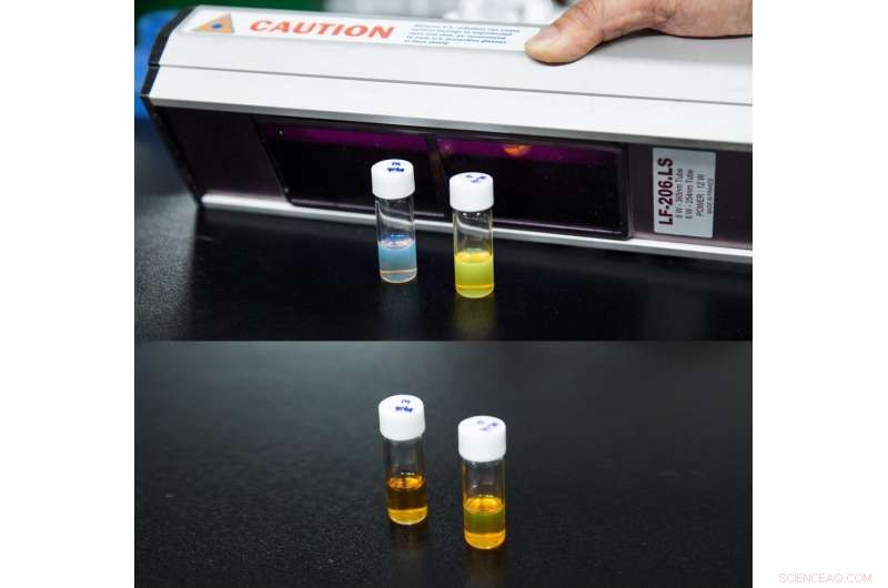 UNIST Scientists Develop Shape‑Shifting Carbon Nanostructures with Solvent‑Responsive Color Change