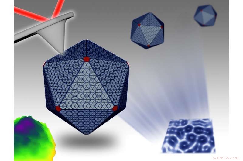 Unveiling the Hidden Architecture of Bacterial Protein Machines Through Nanotechnology