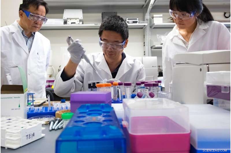 On-Demand Vascular Permeability Boosts Targeted Drug Delivery