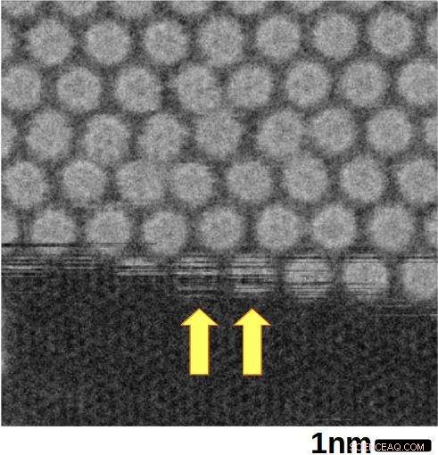 Graphene Encapsulation Unveils New Insights into Fullerene Diffusion and Rotation