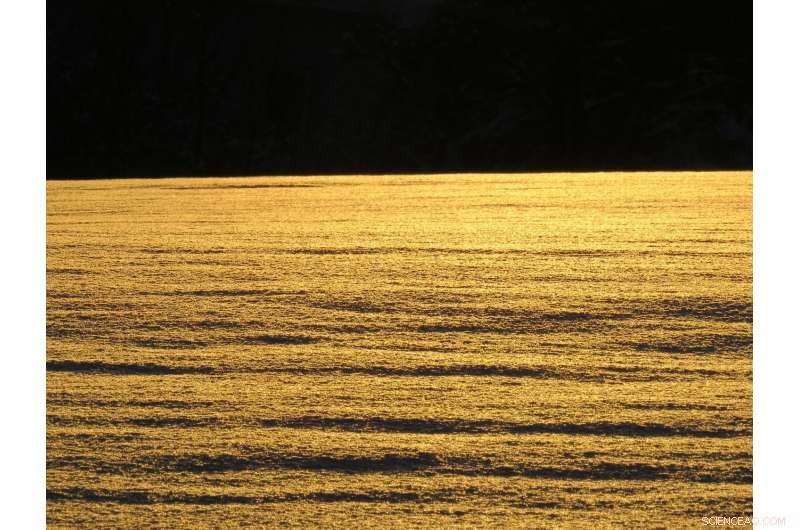 Unlocking Gold Adhesion to Silicone Rubber: A Breakthrough in Flexible Electronics