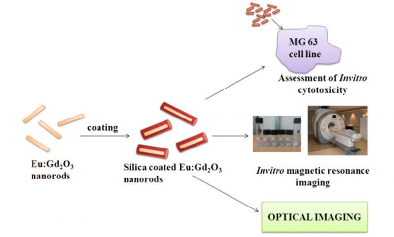 Scientists Engineer Safe, Dual‑Modal Nanoparticle Contrast Agent for Precise Cancer Imaging