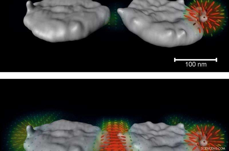 TU Graz Scientists Achieve 3‑D Plasmon Tomography