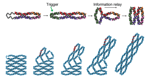 Reversible DNA Mini-Machines Store Data Through Shape Switching