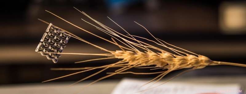 Guinness World Records Recognizes Graphene Aerogel as the Lightest 3‑D Printed Structure