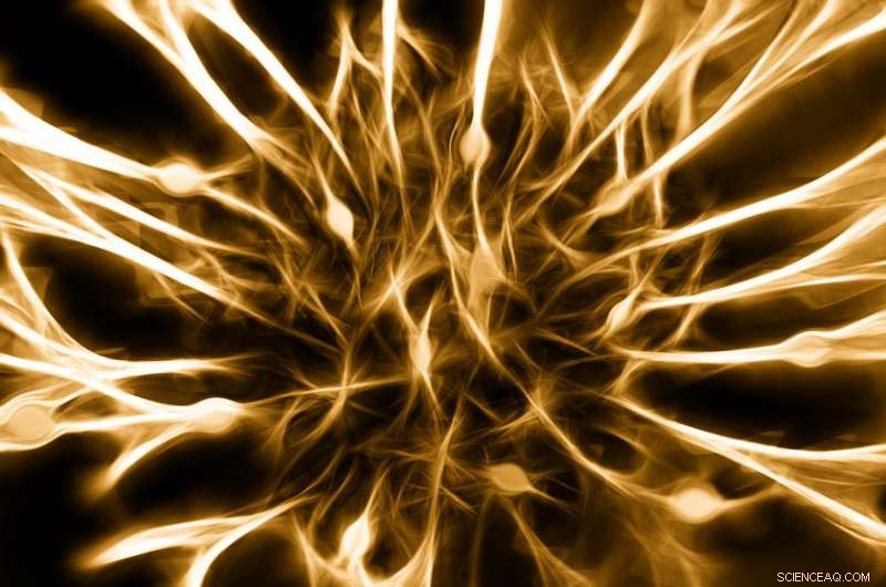 Nanotube-Integrated Neurons Offer New Path for Nerve Fiber Repair