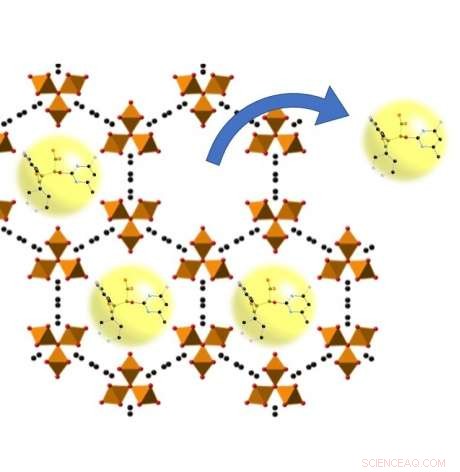 Revolutionary Nano-Drug Carriers: A Promising Future for Lung Disease Patients