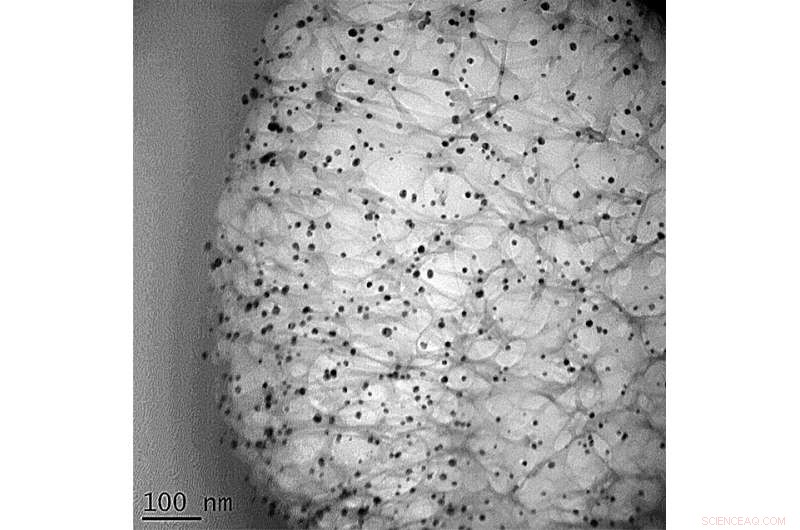 Nanoparticle-Infused Cotton Fibers: A Powerful Antibacterial Solution