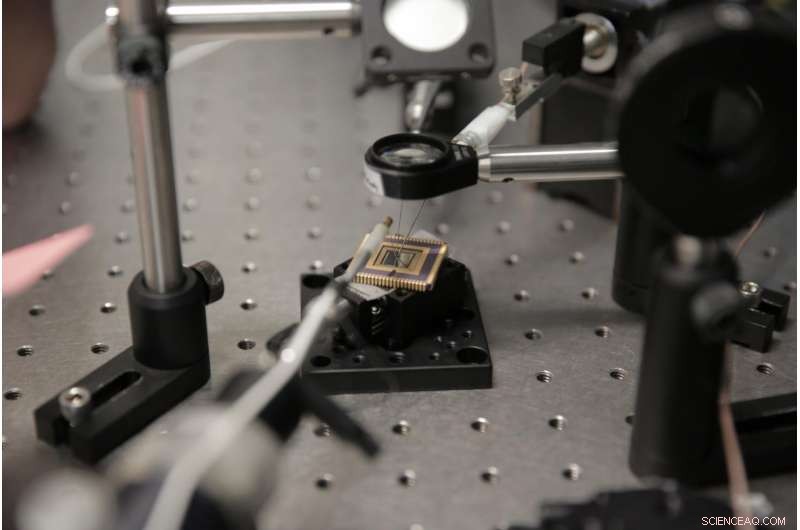 Revolutionary Photodetector Promises Breakthroughs in Optoelectronics