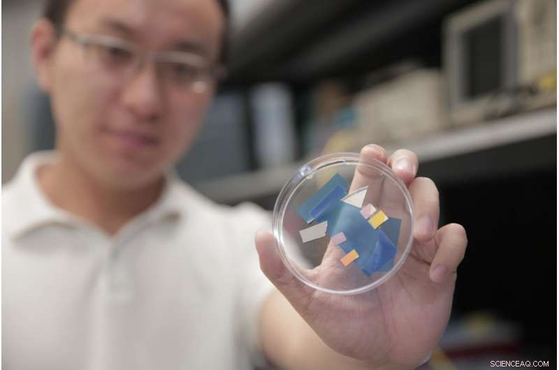 Revolutionary Photodetector Promises Breakthroughs in Optoelectronics