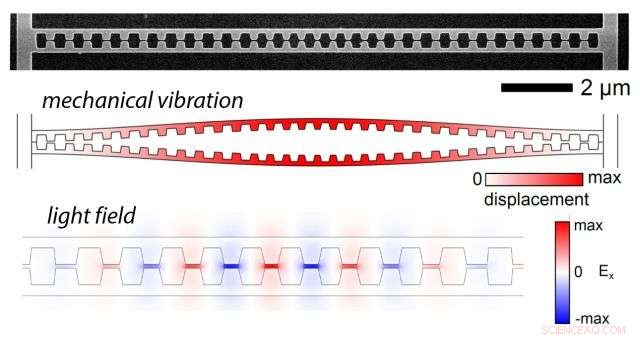 Nanoscale Vibrations Drive Overdriven Light Modulation