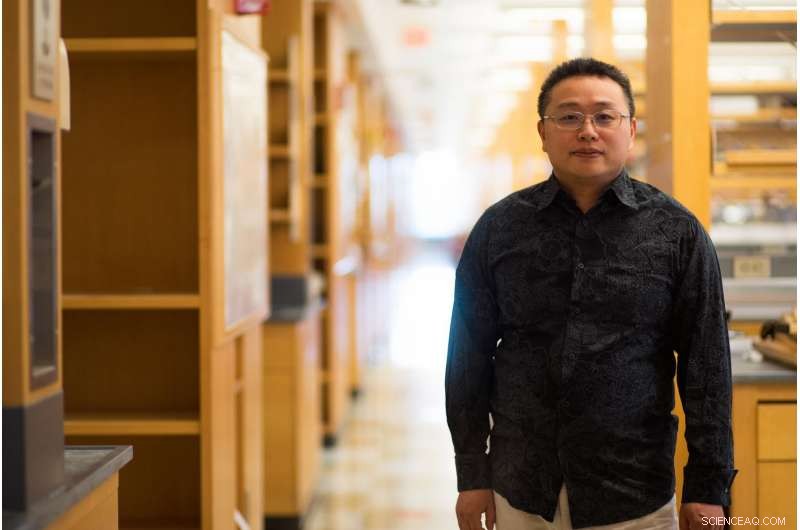 New Human Protein-Based MRI Contrast Targets Tumors with Precision