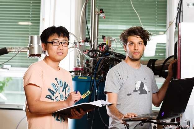 Harnessing Majorana Fermions: A Chip-Based Highway for Quantum Computing