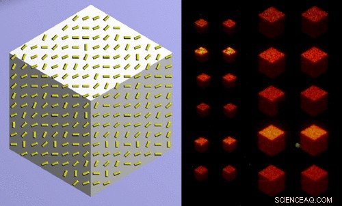 Scientists Use Light Manipulation to Render Flat Surfaces as Realistic 3‑D Objects