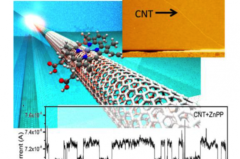 Distinct Noise Signatures Emerge from Single-Molecule Interactions in Carbon Nanotube Electronics