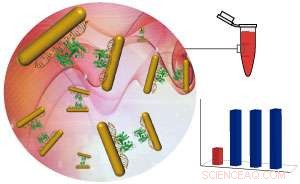 DNA‑Coated Gold Nanorods Execute Six Fundamental Logic Operations
