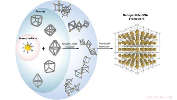 Scientists Use Self‑Assembly to Engineer Nanoparticles into Custom Materials