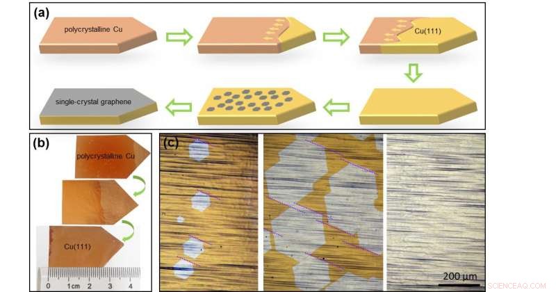 Large-Scale Single-Crystal Graphene Now Feasible