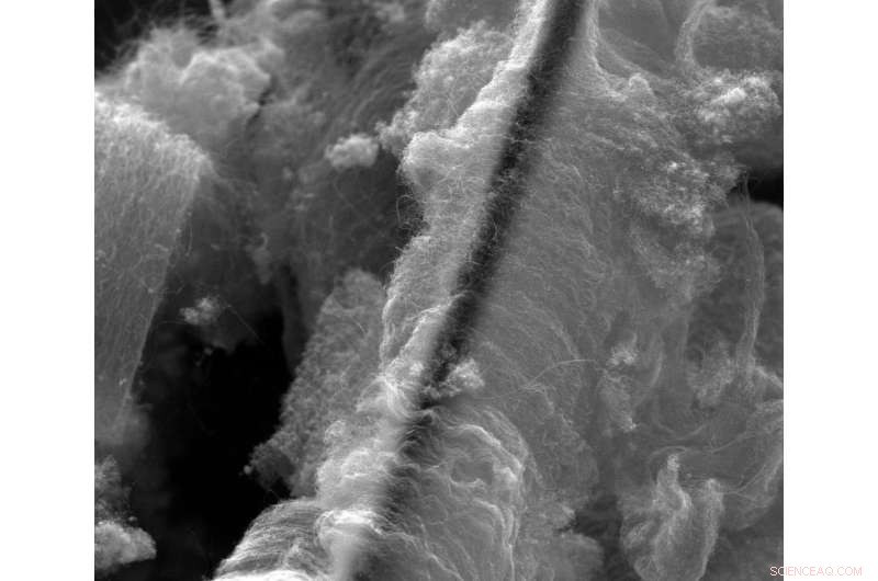 Carbon Nanotube-Enhanced Filters Proven to Remove 99% of Heavy Metals from Water