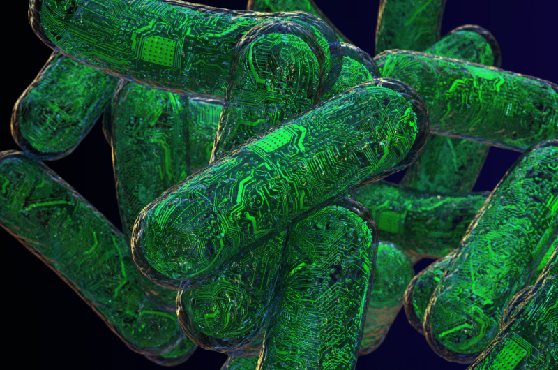 RNA Nanodevices Function as Cellular Computers, Detecting and Analyzing Complex Signals