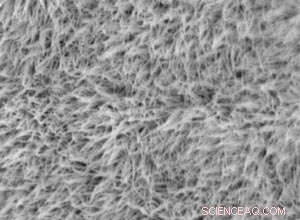 Low‑Cost Zinc Battery Delivers High Voltage & Long‑Term Energy