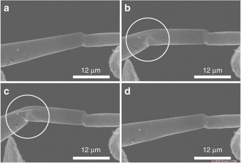 Researchers Bend Individual Tetrapod Nanostructures for Advanced Applications