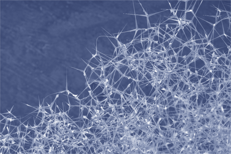 Researchers Bend Individual Tetrapod Nanostructures for Advanced Applications