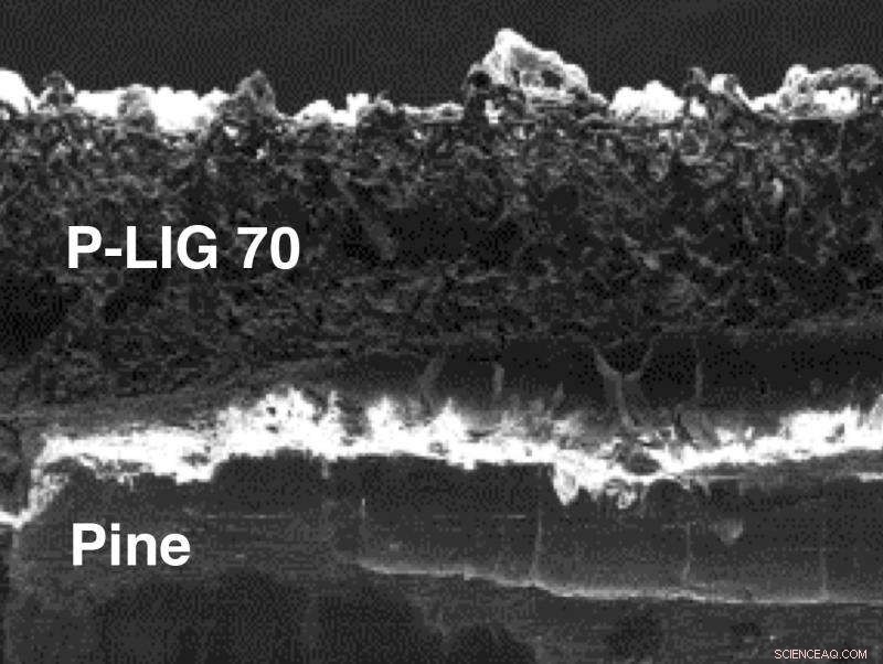 Scientists Convert Wood into Conductive Laser‑Induced Graphene for Eco‑Friendly Electronics