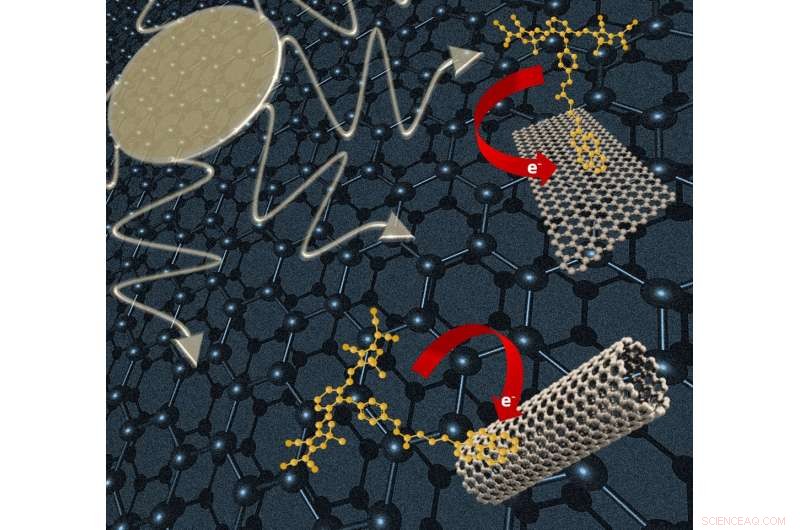 Researchers Study Dye‑Infused Carbon Nanostructure Hybrids
