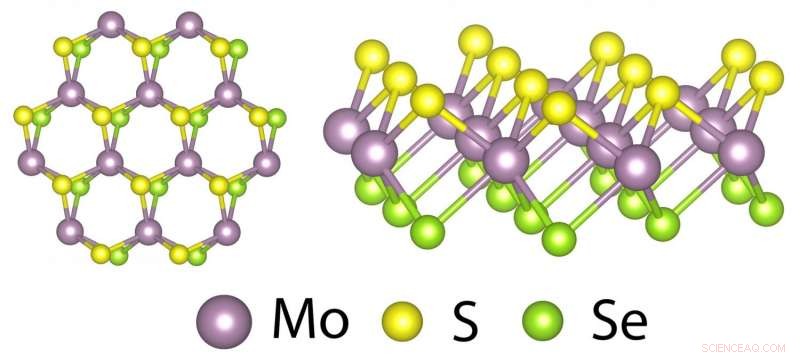 Rice University pioneers two‑faced 2‑D material