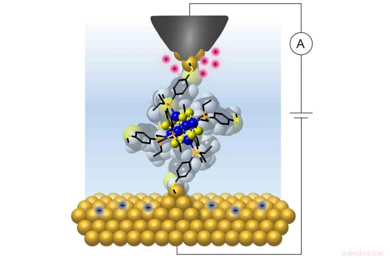 Single‑Molecule Transistors Operate Consistently at Room Temperature