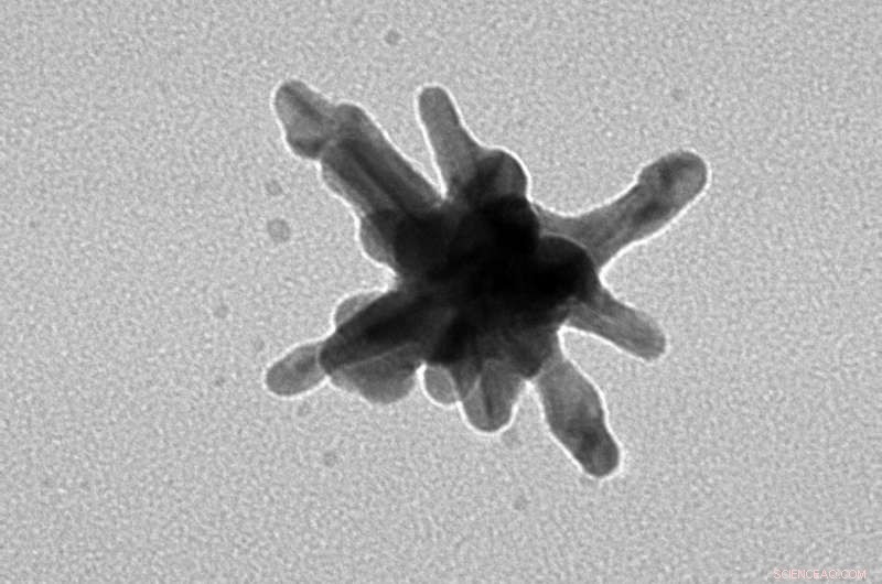 Gold Nanostars Boost Immunotherapy, Vaccinating Mice Against Cancer