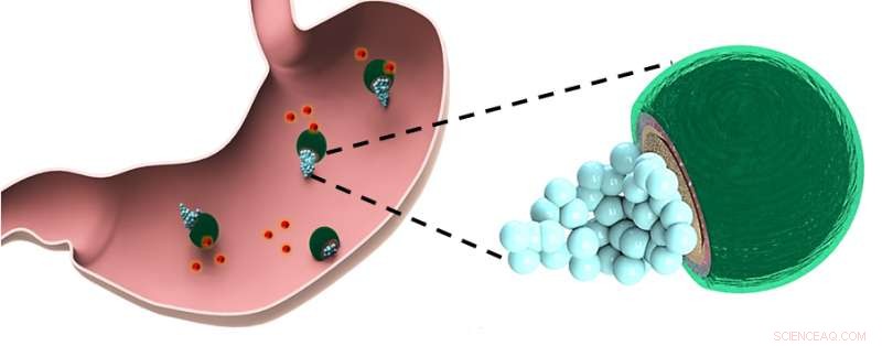First In-Vivo Treatment of Stomach Bacterial Infections Using Drug-Delivering Micromotors